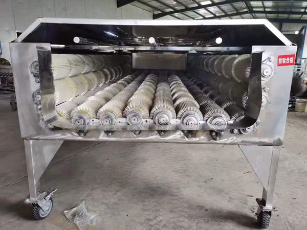 大型LEDONG.COM
