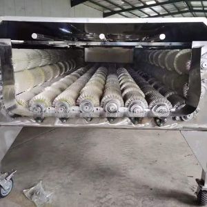 大型LEDONG.COM
