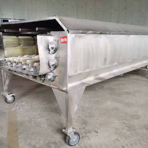 大型LEDONG.COM

